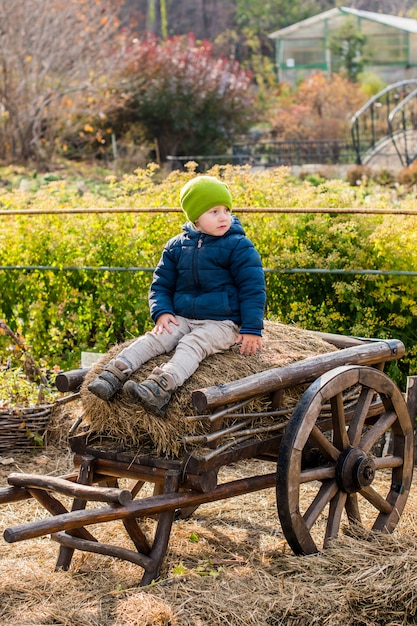 Garotinho antiquado, sentado em uma carruagem de madeira vintage