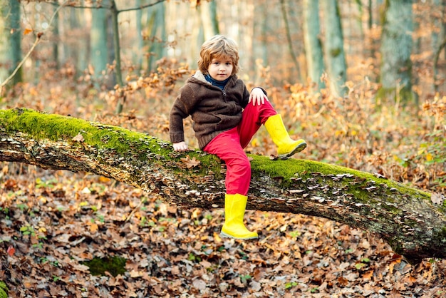 Garotinho bonitinho no parque de outono adorável criança feliz brincando em folhas de outono ao ar livre