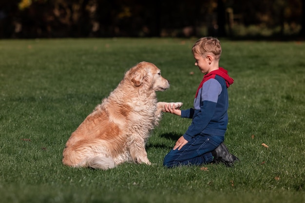 Garotinho brincando e treinando cão retriever dourado no campo em dia de verão juntos Criança bonita com retrato de animal de estimação cachorrinho na natureza