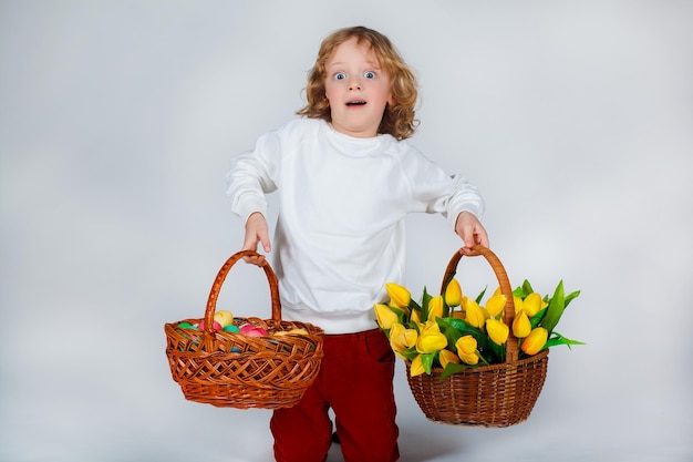 Garotinho com longos cabelos loiros encaracolados segura em suas mãos cestas com tulipas e ovos de páscoa em fundo branco. Momentos engraçados. Conceito de férias de primavera.