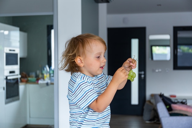 Garotinho está sentado em uma mesa na cozinha e comendo uvas. A criança está provando comida saudável.