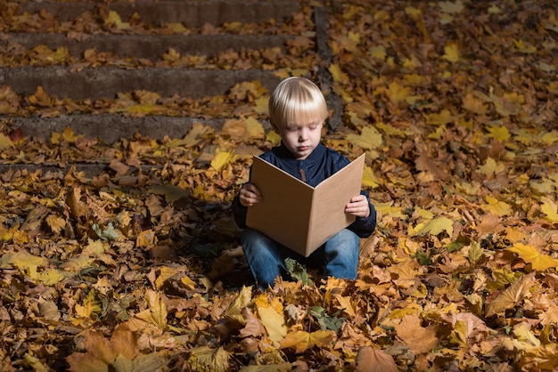 Garotinho lê um livro na floresta sentado nas folhas de outono. Livro infantil fascinante.