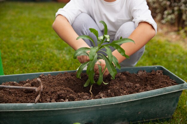 Garotinho plantando uma flor no solo