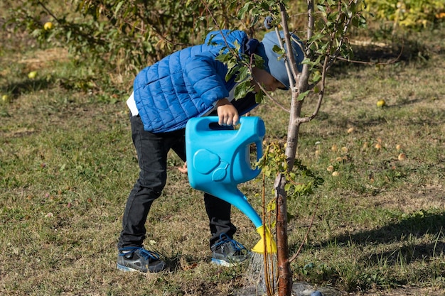 Garotinho regando a árvore frutífera com vaso de rega no jardim de outono Garoto ajudando seus pais a cuidar das plantas Cultivar frutas no jardim Crianças Atividade ao ar livre em casa Foco seletivo