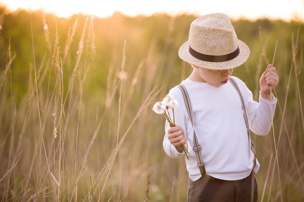 Garoto adorável com chapéu de palha parado em um prado de verão e segurando dentes de leão nas mãos