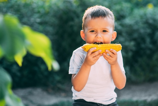 Garoto bonito no jardim ou parque ao ar livre, comendo milho cozido é muito apetitoso no verão