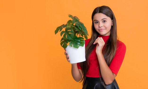 Foto garoto feliz com monstera em pote em fundo amarelo