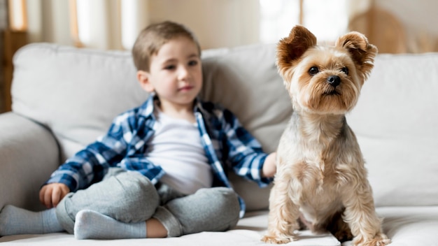 Garoto feliz em casa brincando com o cachorro