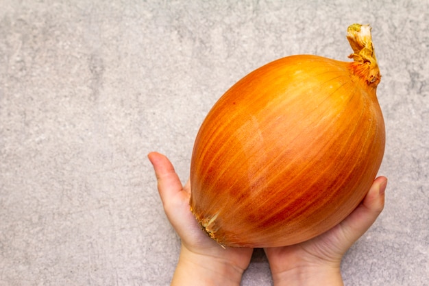 Garoto segurando o bulbo de cebola gigante fresca