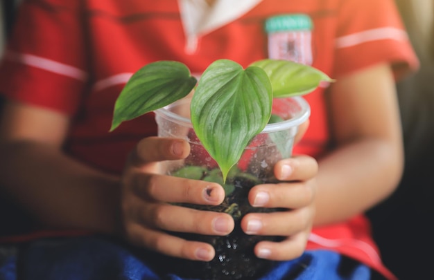 Garoto segurando planta verde para aprender na atividade da vida diária com a família