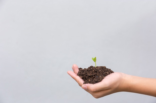 Garoto segurando uma planta nas mãos