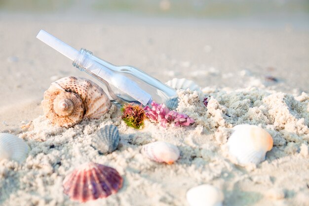 Garrafa com uma mensagem ou carta na praia perto da concha do mar. SOS