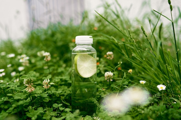 Garrafa de água com limão fica na grama verde em margaridas e trevos