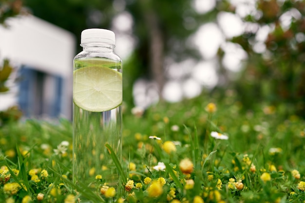 Garrafa de água com uma rodela de limão dentro de um prado verde