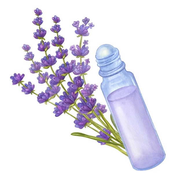 Garrafa de bola de rolo de vidro cosmético óleo essencial de lavanda Mão desenhar ilustração em aquarela isolada em fundo branco Cosmetologia aromaterapia