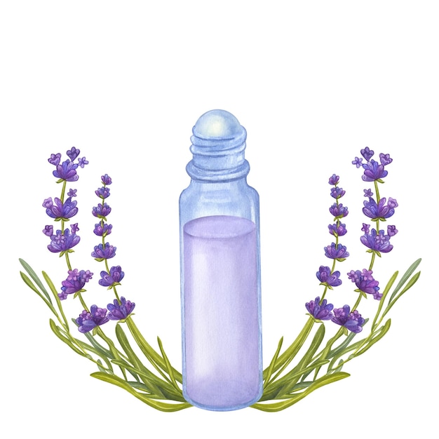 Garrafa de bola de rolo de vidro cosmético óleo essencial de lavanda Mão desenhar ilustração em aquarela isolada em fundo branco Cosmetologia aromaterapia