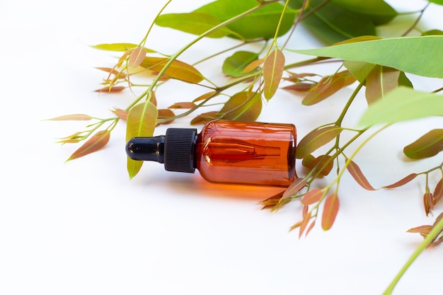 Foto garrafa de óleo essencial de eucalipto com folhas em fundo branco