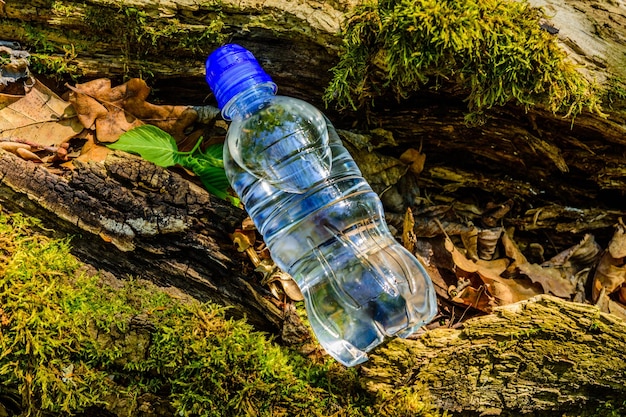 Garrafa de plástico com água limpa no tronco de árvore na floresta