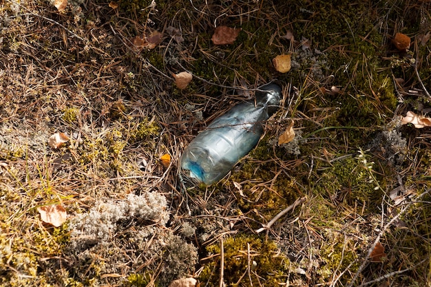 Garrafa de plástico descartável velha na borda da floresta