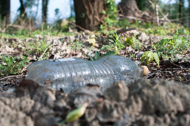 Garrafa de plástico na floresta perto da lagoa. Poluição ambiental. Questão ambiental e desastre.