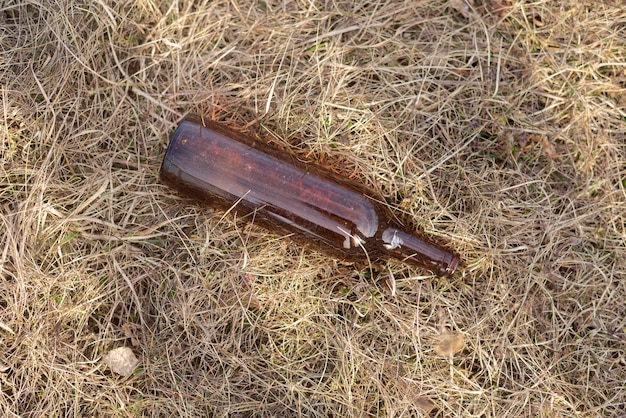 Garrafa de vidro vazia despejada no chão da floresta