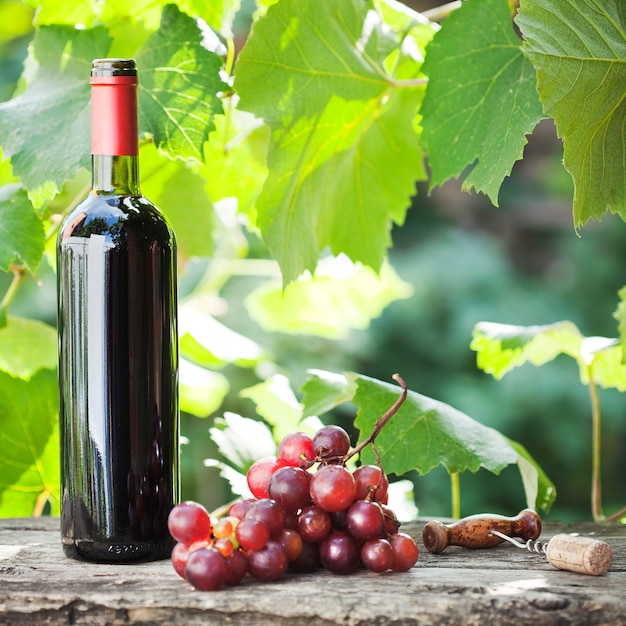 Garrafa de vinho tinto e cacho de uvas na velha mesa de madeira contra vinhedo no verão