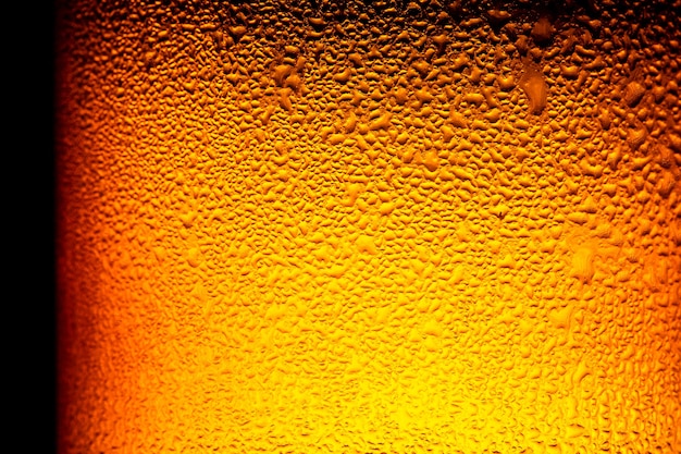 garrafas de cerveja com condensação Close up das garrafas de cerveja Itália Venezuela