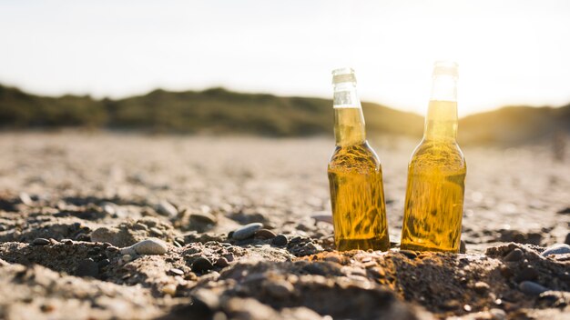 Foto garrafas de cerveja de vidro transparente na areia na praia