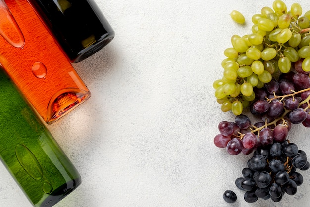 Garrafas de vinho e uvas orgânicas