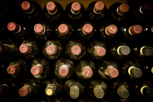 Garrafas de vinho na prateleira da adega
