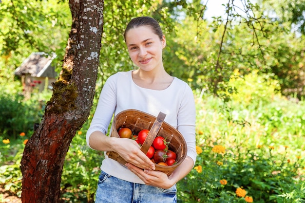 Garten- und Landwirtschaftskonzept. Junge Frau Landarbeiterin hält Korb frische reife Bio-Tomaten im Garten pflücken. Gewächshausprodukte. Pflanzliche Lebensmittelproduktion
