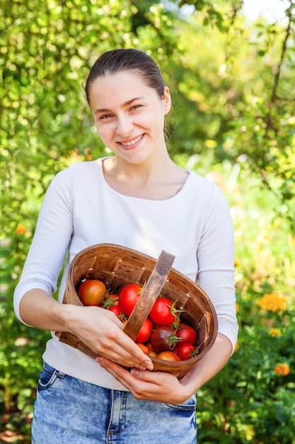 Garten- und Landwirtschaftskonzept. Junge Frau Landarbeiterin hält Korb frische reife Bio-Tomaten im Garten pflücken. Gewächshausprodukte. Pflanzliche Lebensmittelproduktion