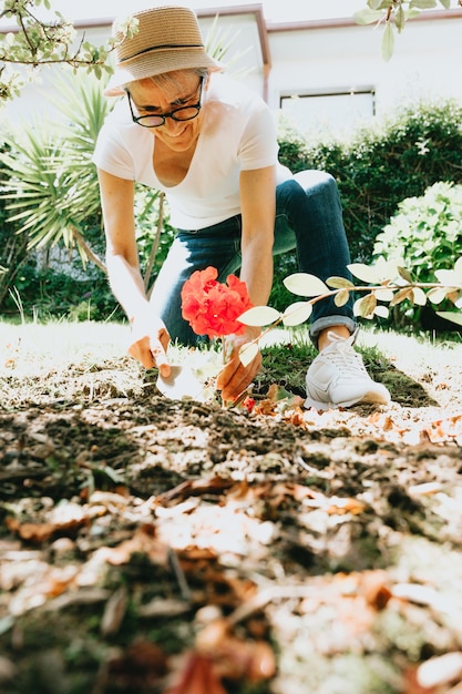 Garten- und Menschenkonzept - glückliche ältere Frau, die Blumen im Sommergarten pflanzt