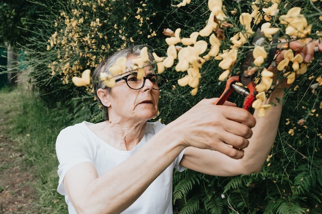 Garten- und Menschenkonzept - glückliche ältere Frau, die Blumen im Sommergarten pflanzt
