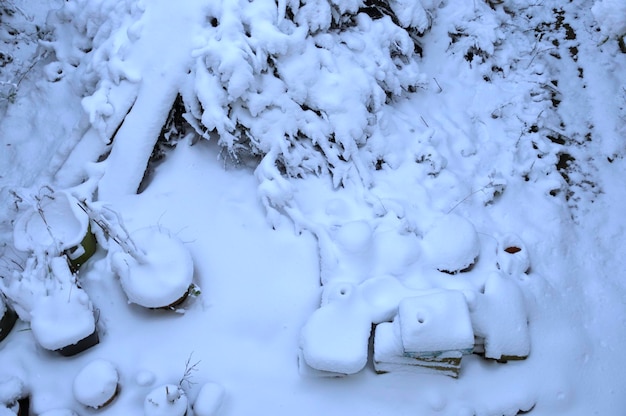 Garten unter dem Schnee in der Bretagne