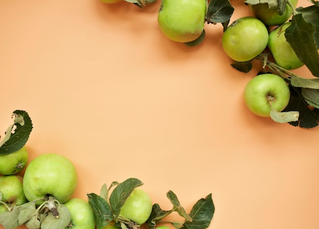 Gartenäpfel auf dem Tisch, ein Bündel frischer Apfelfrüchte auf einem natürlichen Hintergrund, Herbsterntekonzept