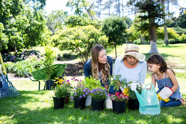 Gartenarbeit der Familie von mehreren Generationen im Park