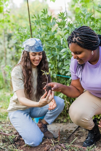 Gartenarbeit im Bio-Stadtgarten Multiethnische lateinamerikanische kubanische venezolanische hispanische und marokkanische Frau