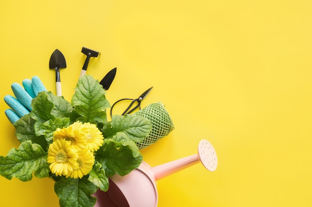 Gartenarbeit mit gelber Gerbera-, Maut- und Gartenblumenanlage auf Gelb.