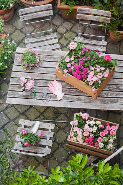 Gartenarbeit, Pflanzen von Sommerblumen