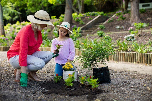 Gartenarbeit von Großmutter und Enkelin