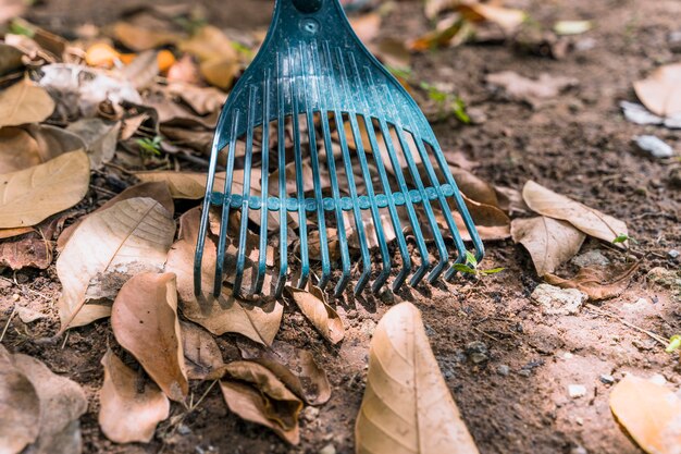 Gartenarbeit