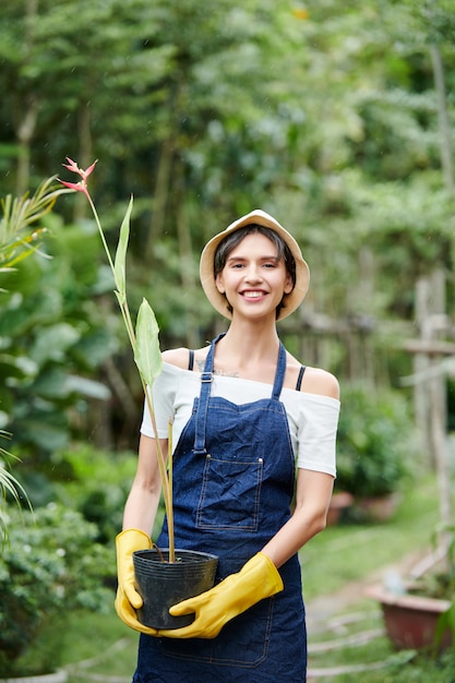 Gartenarbeiter, der Blumentopf trägt