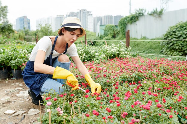 Gartenarbeiter, der sich um Pflanzen kümmert