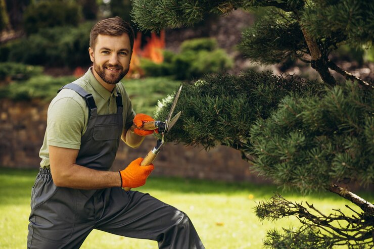 Foto gartenarbeiter trimmen bäume mit einer schere im hof