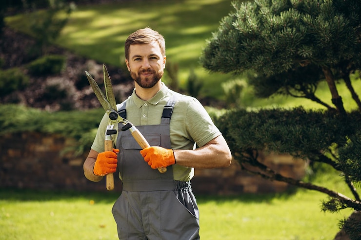 Foto gartenarbeiter trimmen bäume mit einer schere im hof