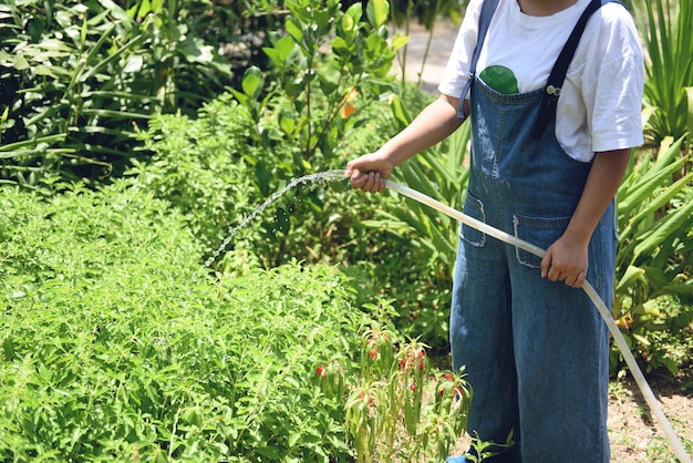 Gartenarbeitfrauenhand, die strömendes Wasser auf Anlage mit Gummischlauchgarten hält