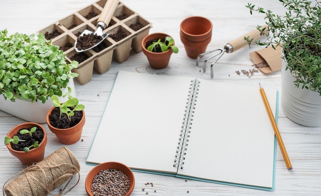 Gartenbau Konzept Pflanzung zu Hause