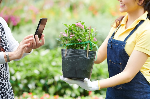 Gartencenter-Mitarbeiter, der dem Kunden, der sie auf dem Smartphone fotografiert, eine blühende Pflanze zeigt