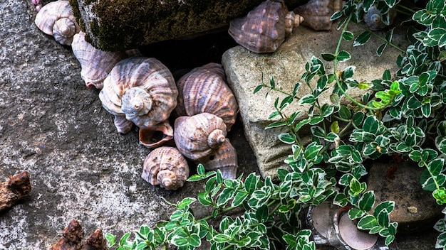 Gartendekorationen aus Steinen und Steinskulpturen zwischen schönem Grün